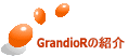 GrandioRの紹介